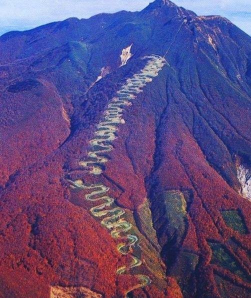 世界最危險的海上公路，成老司機噩夢，一路狂飆才能活下去 