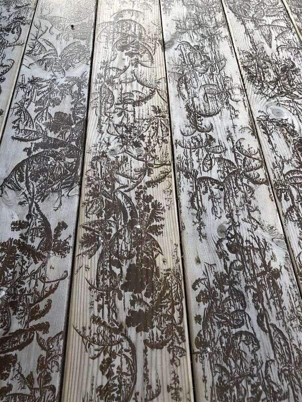 比刻意完成的更吸引人！　30個「自然而然就完成」的絕妙藝術作品