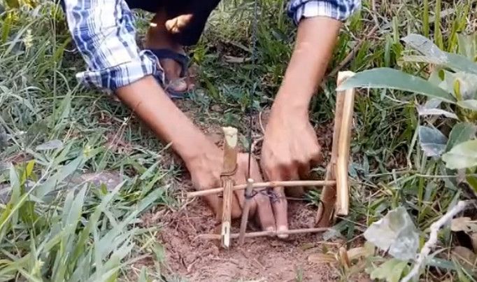 農村小伙在田地設了個陷阱，半天不到就抓到個野貨 !