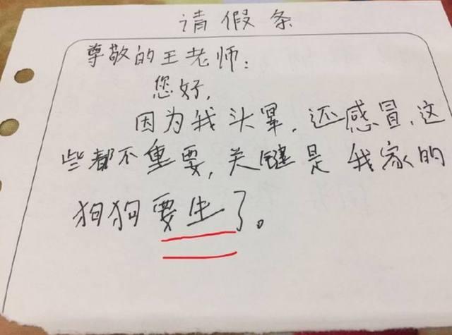 媽媽看了兒子造句，立馬要離婚，老師竟給滿分？爸爸卻不敢回家 