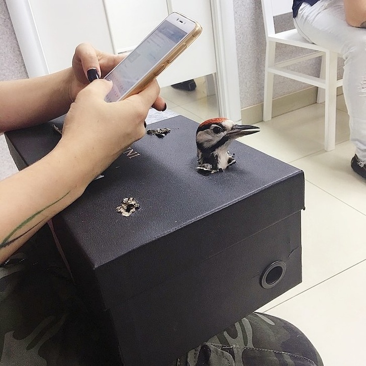 會觀察的人永遠不無聊！　20張「嘴角不爭氣上揚」的日常趣味照