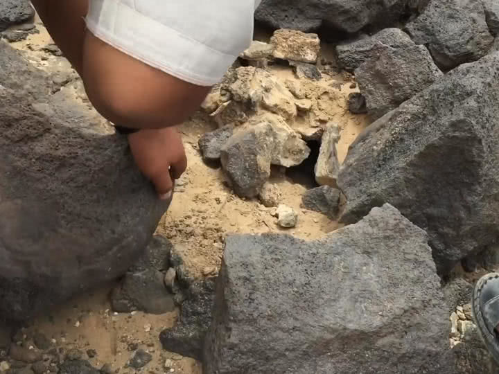 男子石塊上發現奇怪的血跡，搬開後抓到幾隻大傢伙，驚喜不已 !