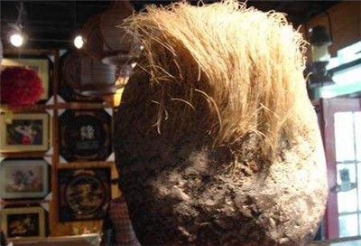 男子撿到石頭竟然長出白髮，專家看後讓他直呼發財 !