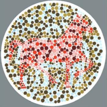 【測驗】你第一眼看到「什麼動物」？測出你的人格特質！ - 天天好健康