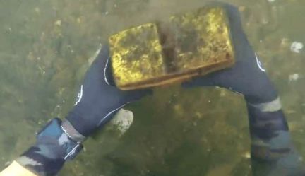 情侶叢林探險，發現一棵樹不對勁，走近一瞧，男子拿出一把刀 !
