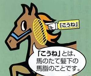 大家超愛用的「日本馬油」效用大公開，大開眼界，之前實在是太浪費了！