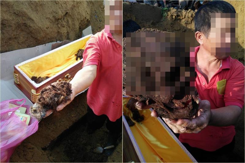 家族成員相繼出事，乩童警告「祖先成蔭屍」，挖墳驚見屍骨「有殘肉還長尖牙」：開始吃子孫！ 