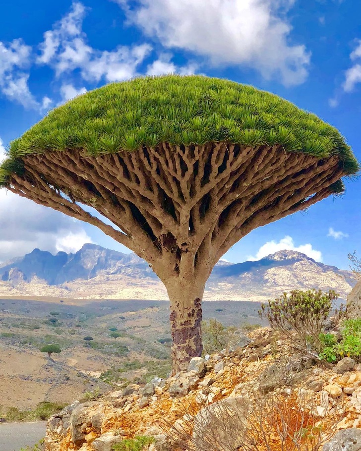 去一次此生無憾　23個證明「地球上有很多神奇角落」的超現實景點