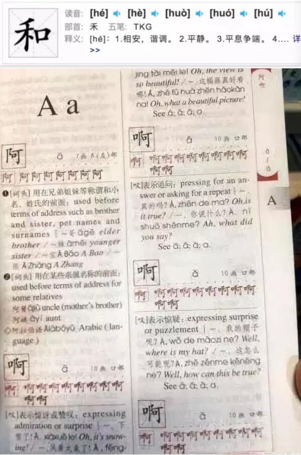 笑岔氣哈哈哈！歐洲老闆太瘋狂，服務員6點起床學中文
