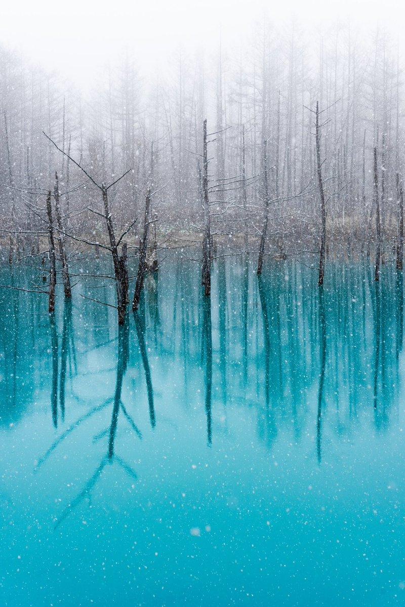 北海道青池初落雪美到不似人間　一到夜晚瞬間「變成魔幻風景」