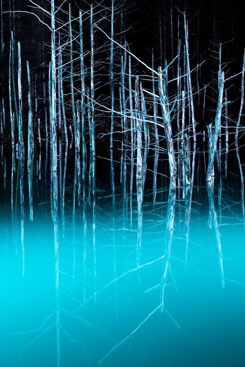 北海道青池初落雪美到不似人間　一到夜晚瞬間「變成魔幻風景」