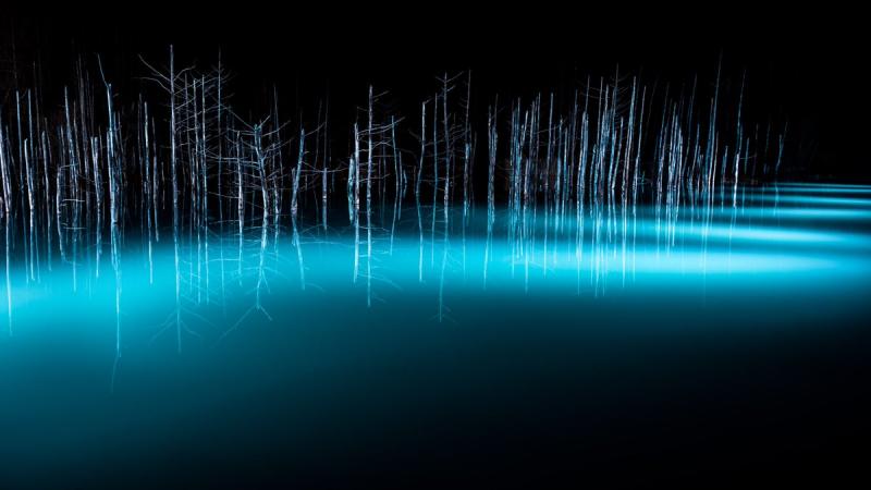 北海道青池初落雪美到不似人間　一到夜晚瞬間「變成魔幻風景」