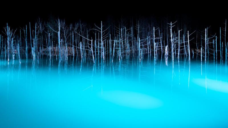 北海道青池初落雪美到不似人間　一到夜晚瞬間「變成魔幻風景」
