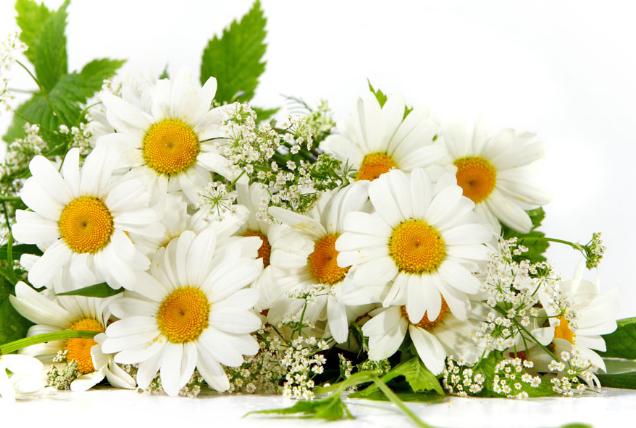 12月1號、2號好運惹不起，4大生肖貴人湧上門，橫財大發，添財招貴！