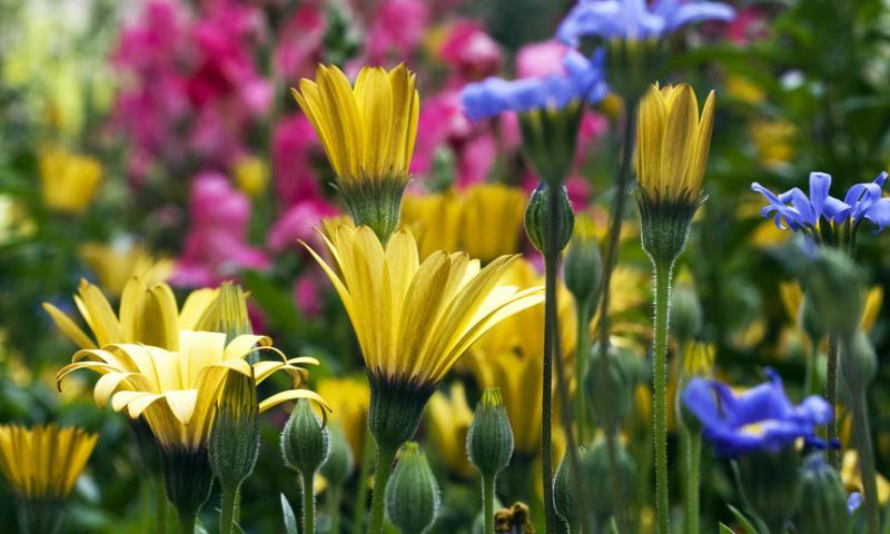 12月1號、2號好運惹不起，4大生肖貴人湧上門，橫財大發，添財招貴！
