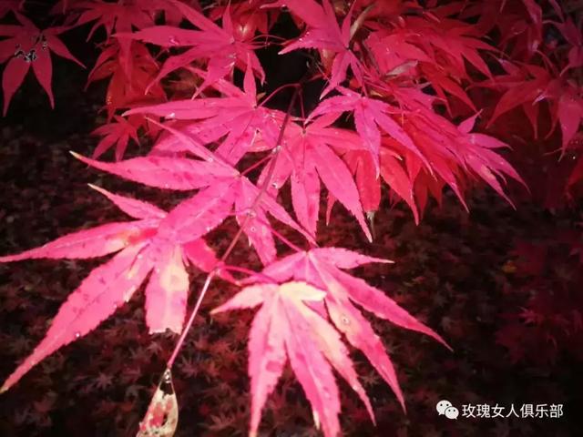 無論何種年齡，女人都該堅持的修煉