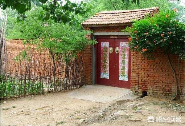 如果你有一個農家小院，你會在院子裡種什麼菜？