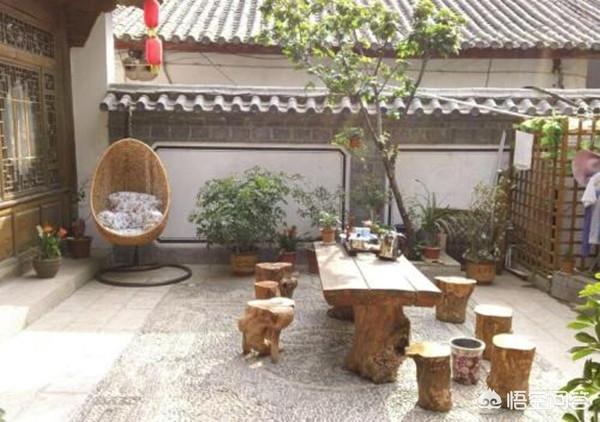 如果你有一個農家小院，你會在院子裡種什麼菜？