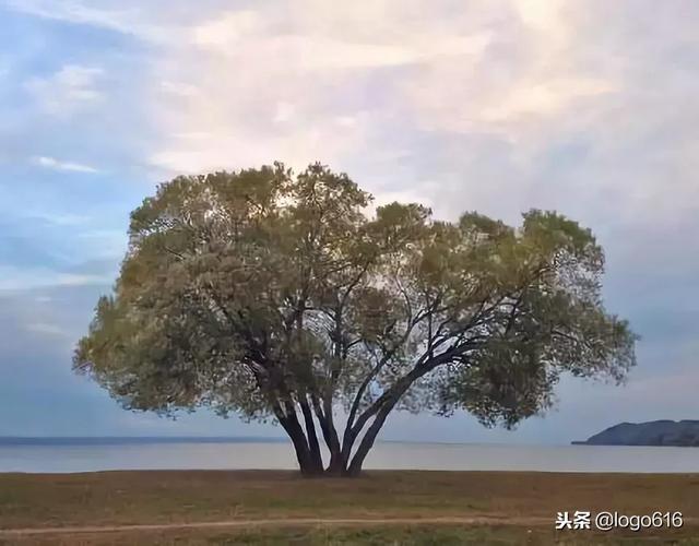 人的成熟不是年齡，而是心態！