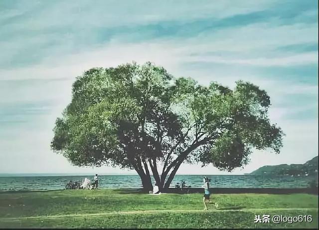 人的成熟不是年齡，而是心態！