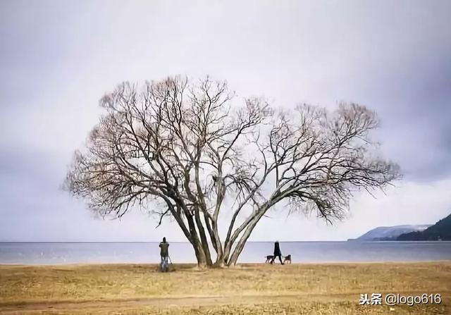 人的成熟不是年齡，而是心態！