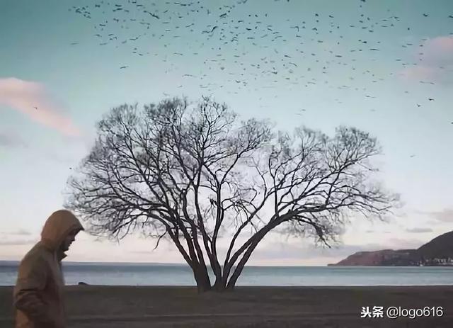 人的成熟不是年齡，而是心態！