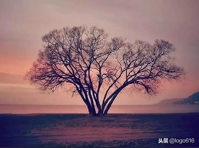 人的成熟不是年齡，而是心態！