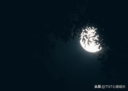 請逼自己養成10個自律習慣，你看的結果一定比現在更精彩……