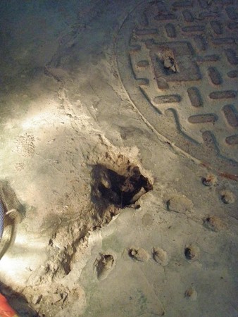 冬天那麼冷為何有蚊子⋯「地下家蚊」越冷越多！　跟著電梯和排水管飛進你家 