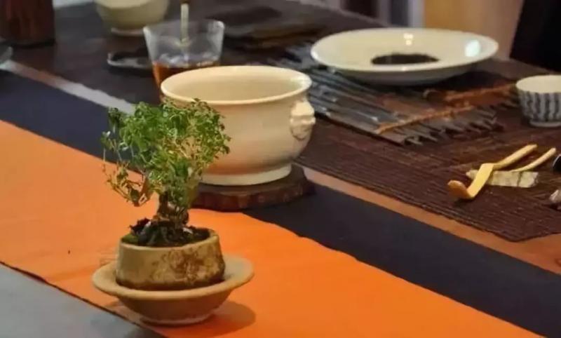 禁忌：這三種人最好不要玩盆景