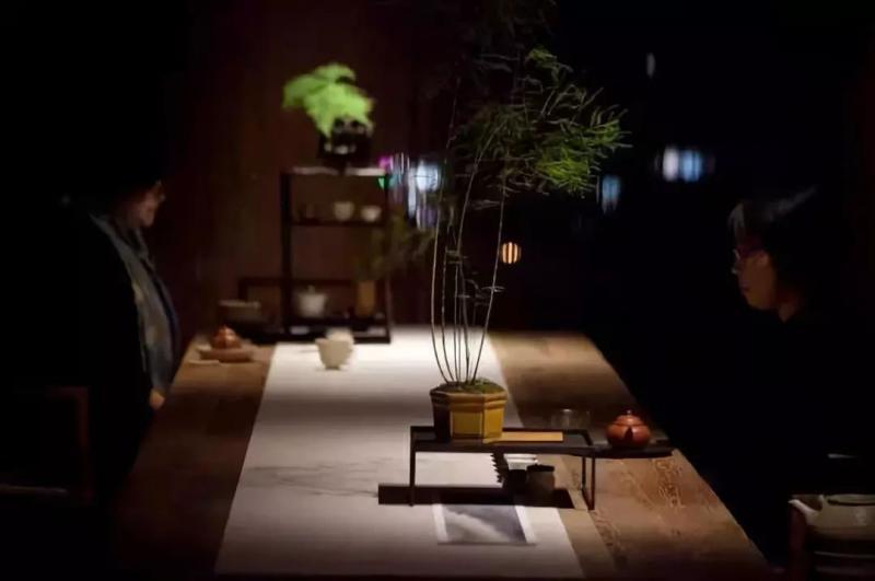 禁忌：這三種人最好不要玩盆景
