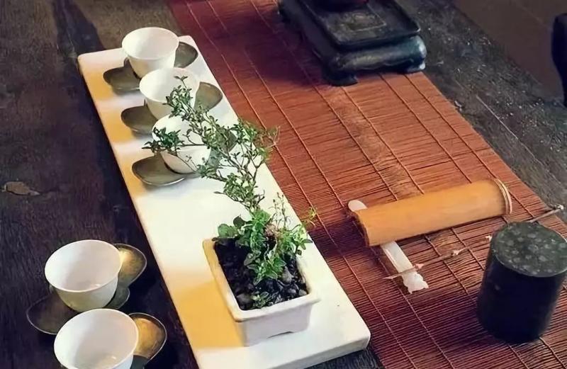 禁忌：這三種人最好不要玩盆景