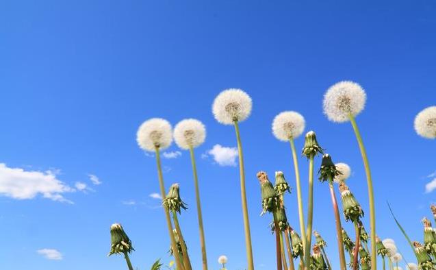 時間在變，人也在變，懂你的人，不必解釋！不懂你的人，不配你解釋 人生在世，不如意事十有八九，但心境皆