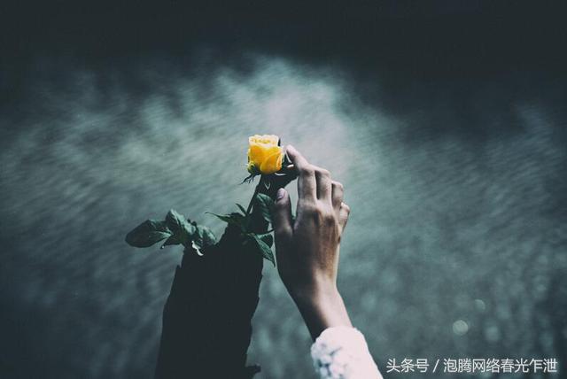 前婆婆，就你和你兒子這樣的人，我要是答應復婚，就是傻子了