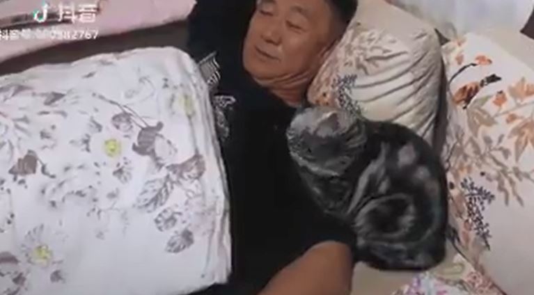  「主子狂舔爸」以為養到塞奶貓？拉近一看「玻璃心碎滿地」網笑：這偽裝術太狂！