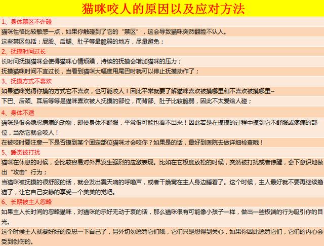 為什麼撫摸貓咪時它會翻臉咬人？忽略貓咪的身體語言被咬在所難免