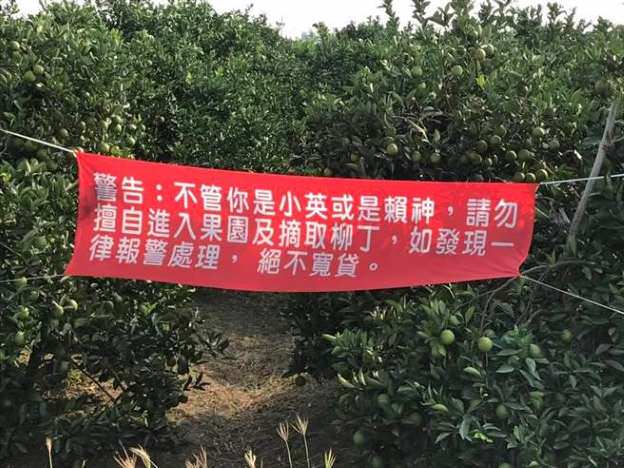 紅到國外的「台灣紅布條」創意無上限　要互嗆結盟都OK：笑到噴飯