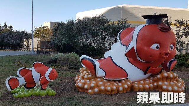 澎科大吉祥物超級獵奇！橘色尼莫「兩顆」痴痴對你笑… 全體顫慄：肚子是O小