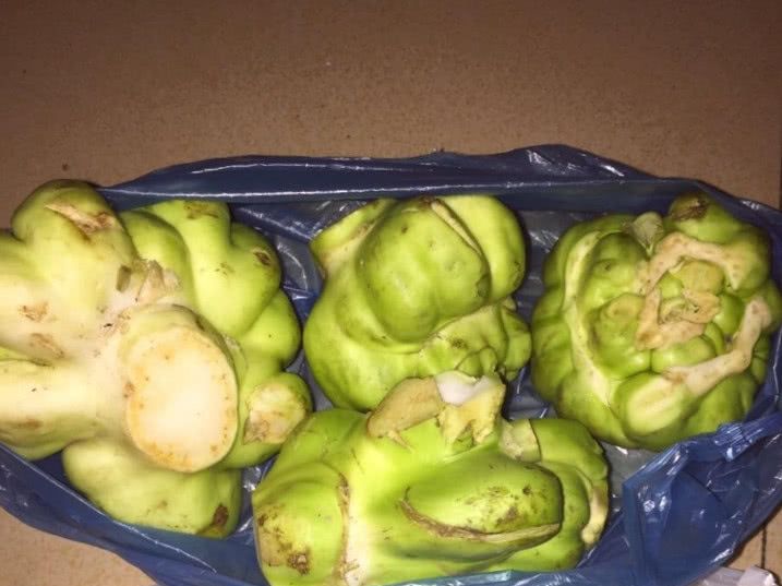 這種菜，比牛羊豬肉有營養，5毛錢一斤，不僅能抗癌還能防癌！