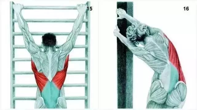 34個超全的拉筋圖，哪裡不舒服就拉哪裡，快快收藏！ 