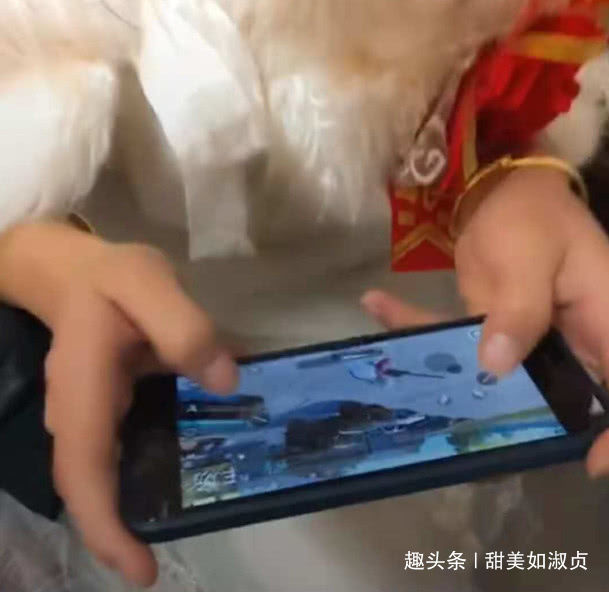 新娘因玩手機讓新郎明天再來，看到手機里的內容時，心疼新郎