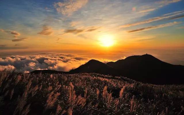  俞敏洪：教書的是老師，但育人的一定是父母！