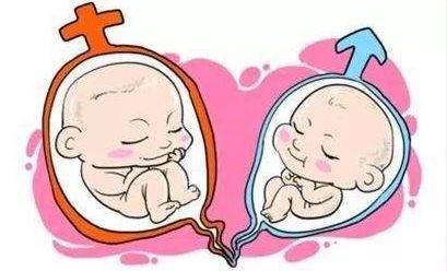 妻子生一對龍鳳胎，丈夫體檢發現有一個不是親生的，妻子坦白承認