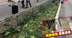 不問醫生孩子性別　岑麗香：想保持驚