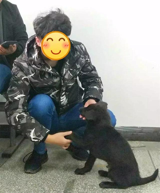 校園流浪狗被男生收養，曾是共同聽課的同學，不願狗狗繼續漂泊！