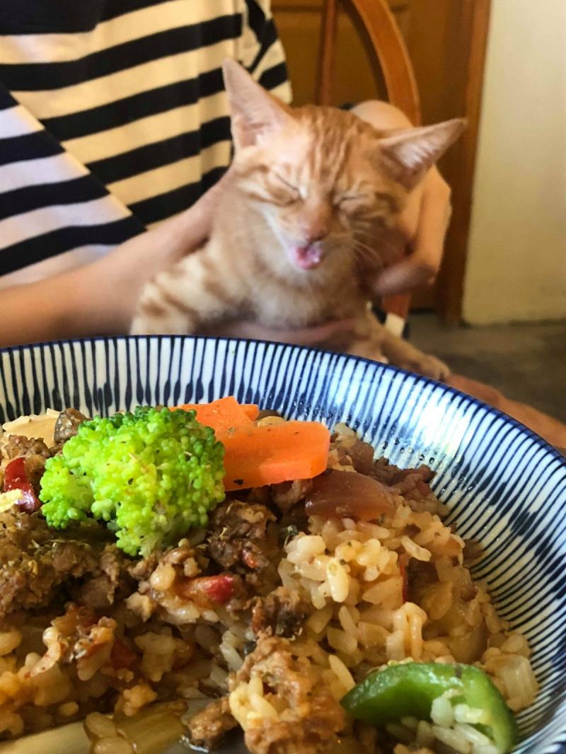 想收編老公不准！她狂傳「養我養我圖」洗版　小吃貨表情超有戲：快點喔～　