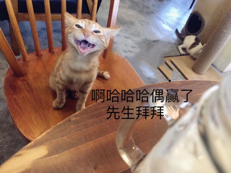想收編老公不准！她狂傳「養我養我圖」洗版　小吃貨表情超有戲：快點喔～　