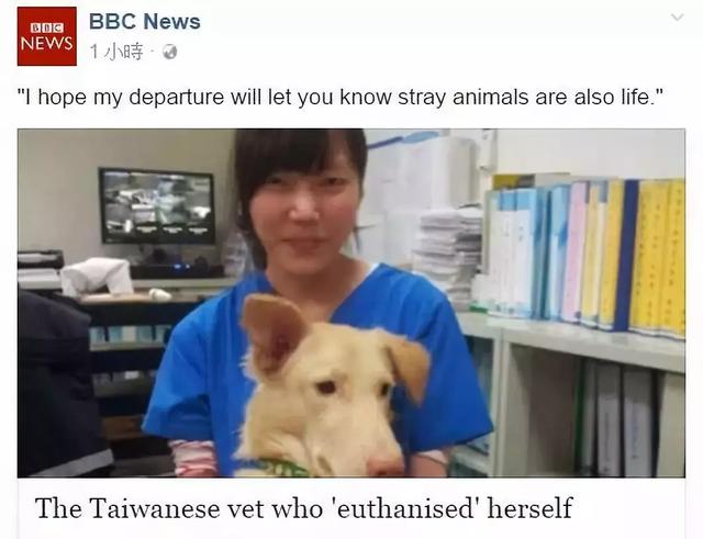 親手殺死700隻流浪狗後 女孩吞藥自殺