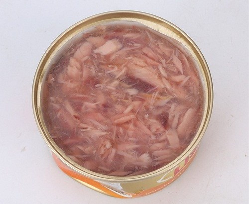 貓咪有耳蟎怎麼辦！耳蟎會好嗎？