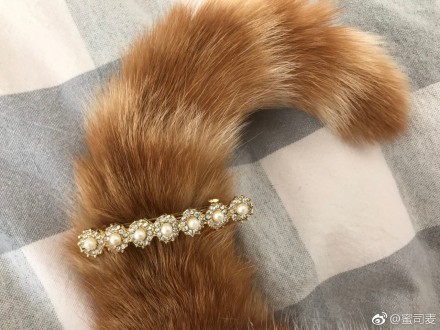 客戶說要拍得「高級」一點！他突發奇想「搬出真皮草」網笑噴：這款超貴的